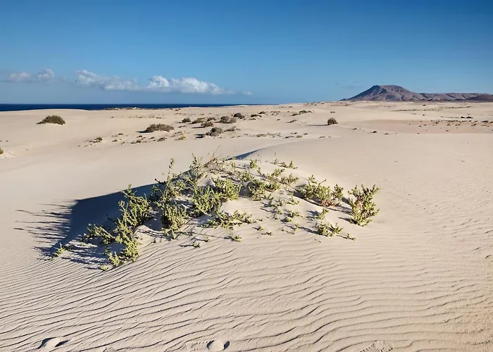 Las Fuentes Corralejo